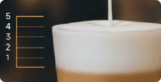 Controlo de <br class="coffeemas_c-small-hide"><br class="coffeemas_c-pc-hide">espuma perfeito