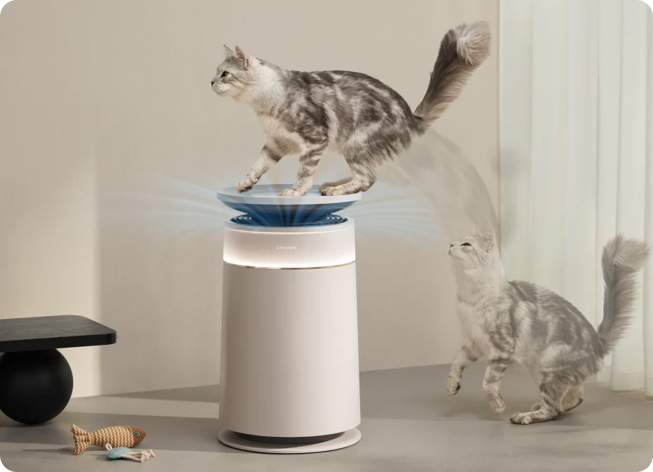 Prevenção do stress dos gatos*