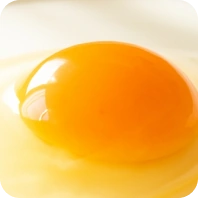 ovos